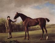 George Stubbs Lustre hero by a Groom oil painting reproduction